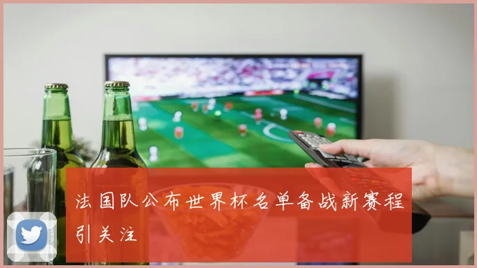 法国队公布世界杯名单备战新赛程引关注