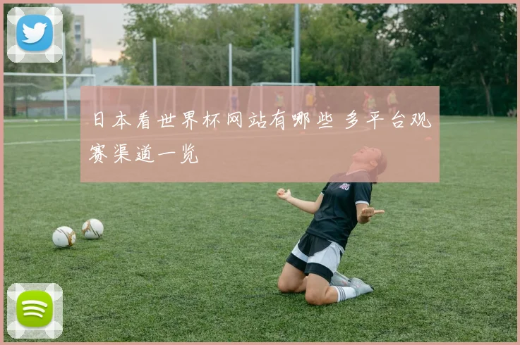 日本看世界杯网站有哪些 多平台观赛渠道一览