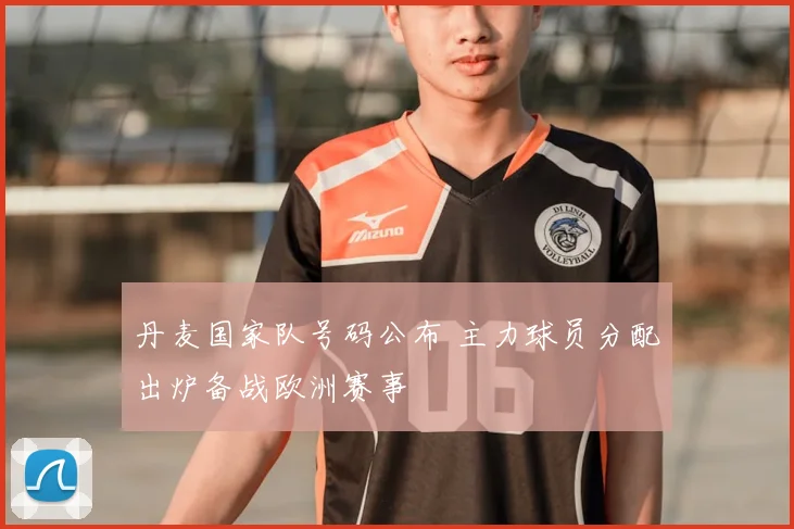 丹麦国家队号码公布 主力球员分配出炉备战欧洲赛事