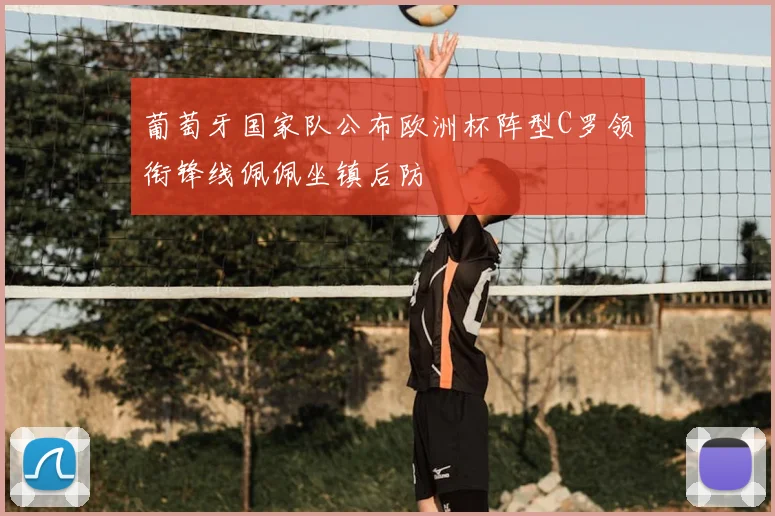 葡萄牙国家队公布欧洲杯阵型C罗领衔锋线佩佩坐镇后防
