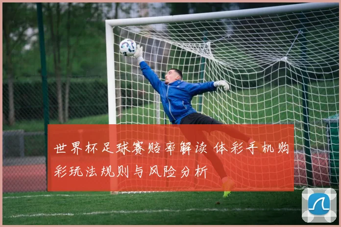 世界杯足球赛赔率解读 体彩手机购彩玩法规则与风险分析